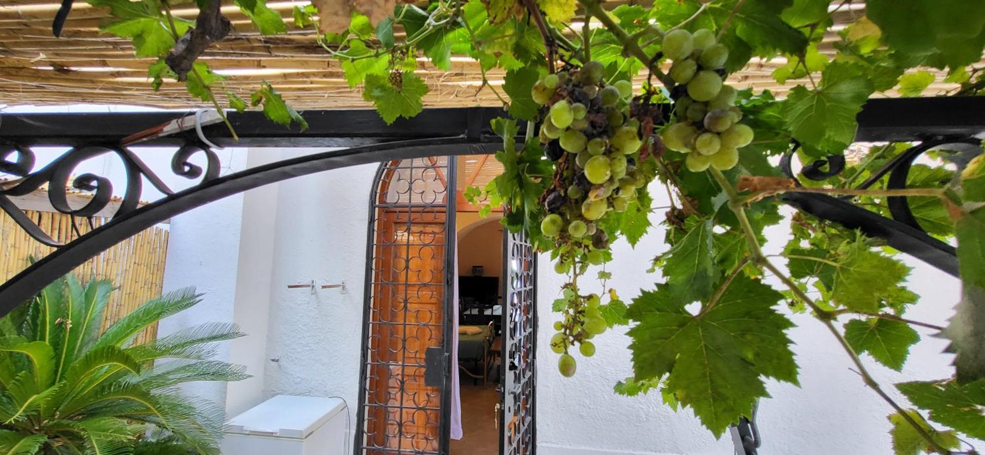 Quietness Bed & Breakfast Vico Equense Dış mekan fotoğraf
